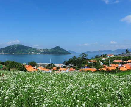 한국에도 미세먼지 걱정 없는 섬이 있다면?